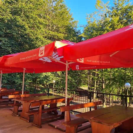 Great Mountain B&B Platak Exterior foto