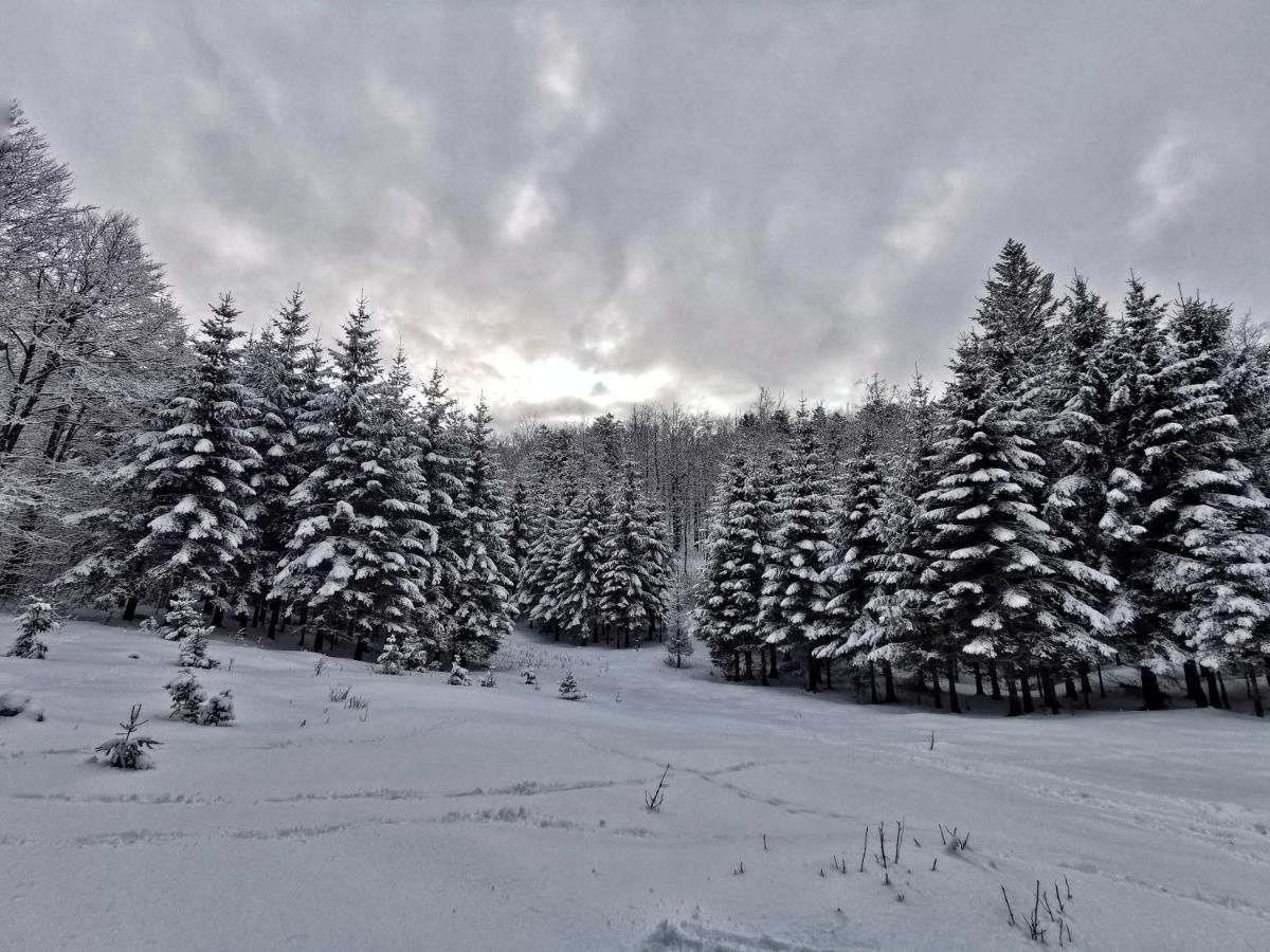 Great Mountain B&B Platak Exterior foto