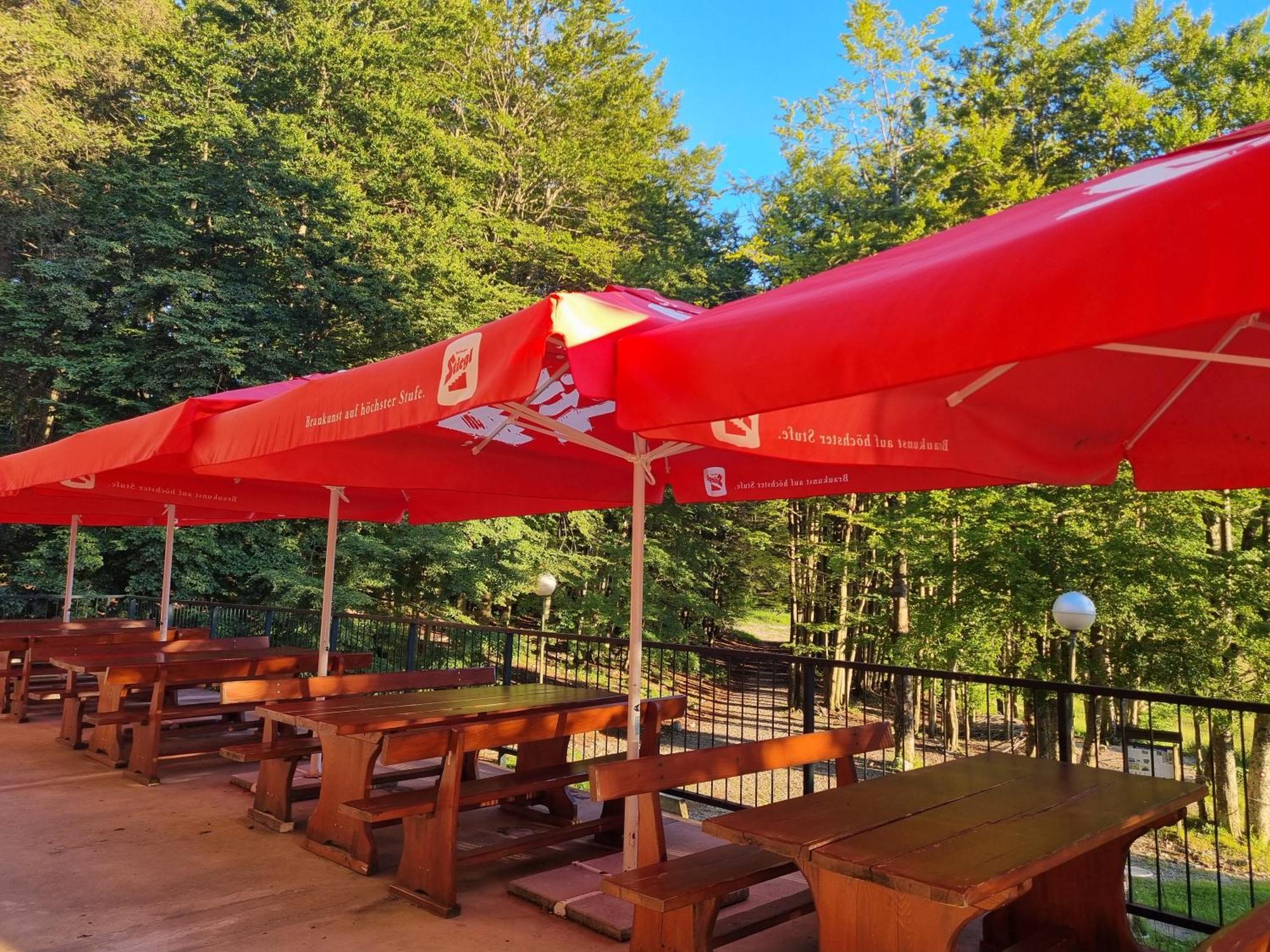 Great Mountain B&B Platak Exterior foto