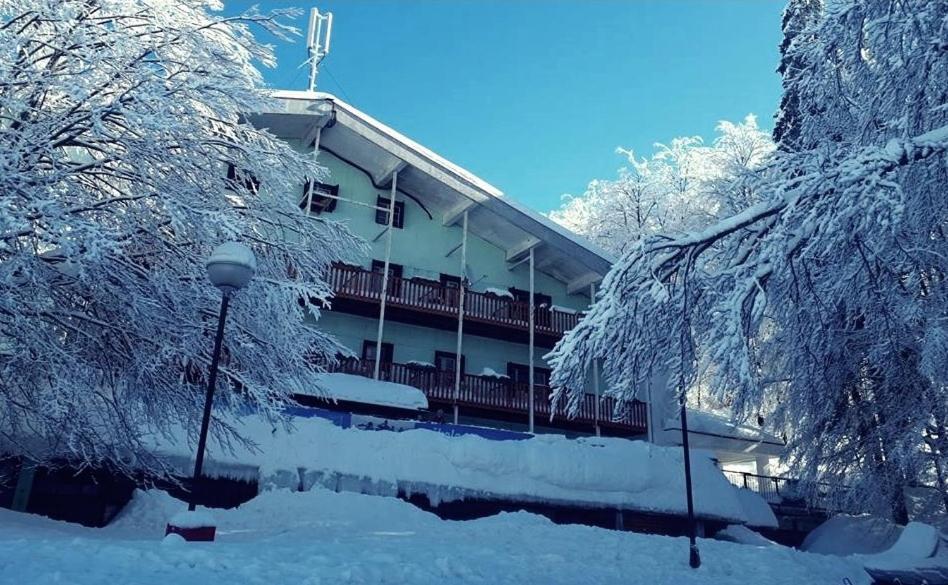 Great Mountain B&B Platak Exterior foto